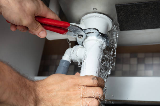 Best Mold removal after water damage  in Waupaca, WI