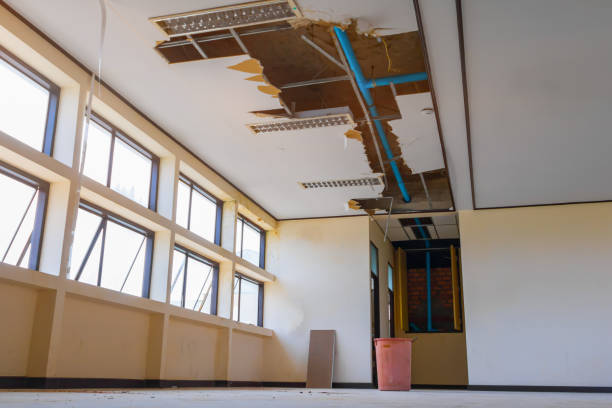 Best Local water damage restoration  in Waupaca, WI