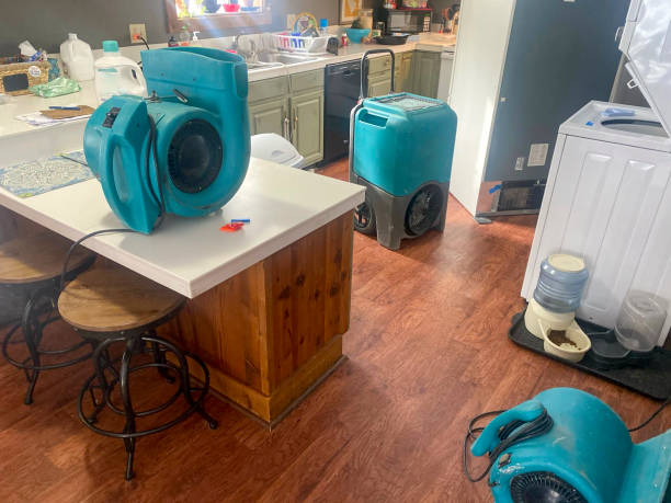 Best Mold removal after water damage  in Waupaca, WI