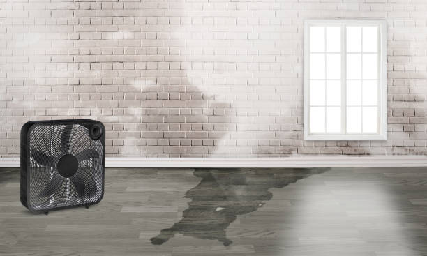 Best Residential water damage restoration  in Waupaca, WI