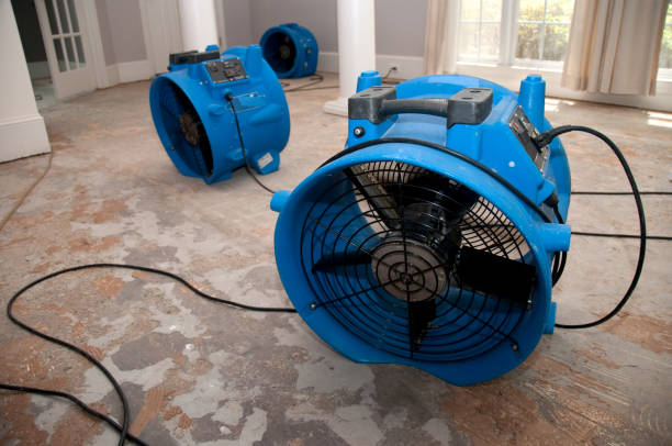 Best Ceiling water damage repair  in Waupaca, WI