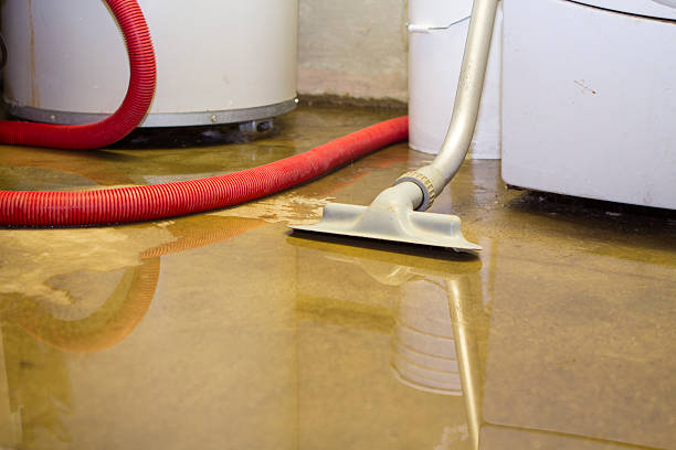 Best Professional water damage repair  in Waupaca, WI