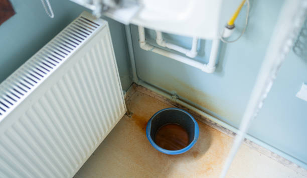 Best Flood damage cleanup  in Waupaca, WI