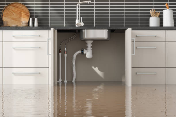 Best Ceiling water damage repair  in Waupaca, WI