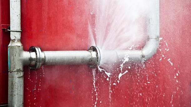 Best Flood damage cleanup  in Waupaca, WI