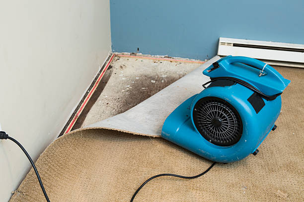 Best Emergency water damage restoration  in Waupaca, WI